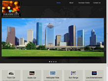 Web Design Project - Paradise City Houston